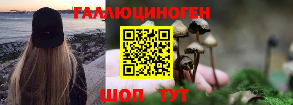 закладка  Галлюциногенные грибы MAGIC MUSHROOMS  Вход с VPN  Псилоцибиновые грибы мухоморы  Новодвинск 