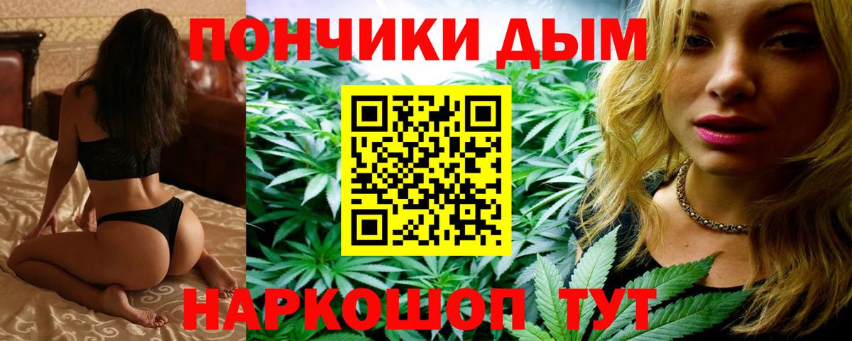Бошки марихуана Amnesia Новодвинск